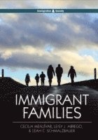 bokomslag Immigrant Families