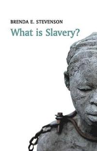 bokomslag What is Slavery?