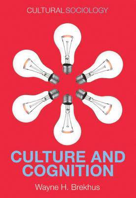 Wayne H. Brekhus - Culture and Cognition, Inbunden