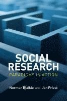 bokomslag Social Research