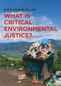 bokomslag What is Critical Environmental Justice?