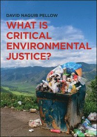 bokomslag What is Critical Environmental Justice?