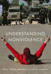 bokomslag Understanding Nonviolence