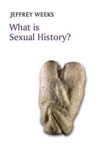 bokomslag What is Sexual History?