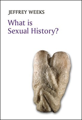 bokomslag What is Sexual History?