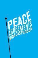 bokomslag Peace Agreements