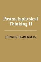 bokomslag Postmetaphysical Thinking II