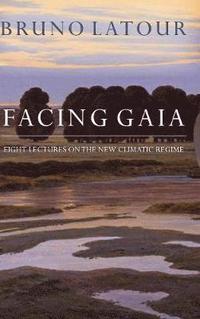 bokomslag Facing Gaia