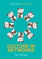 bokomslag Culture in Networks
