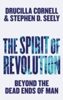 bokomslag The Spirit of Revolution