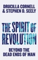 Drucilla Cornell, Stephen D. Seely, Drucilla (University of Pennsylvania) Cornell, Stephen D Seely - Spirit of Revolution, Inbunden