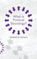 bokomslag What is Political Sociology?