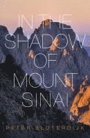 Peter Sloterdijk, Peter (Karlsruhe School of Design) Sloterdijk - In The Shadow of Mount Sinai, Inbunden