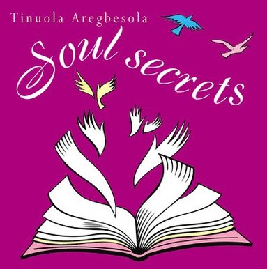 bokomslag Soul Secrets