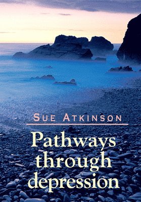 Pathways through Depression 1