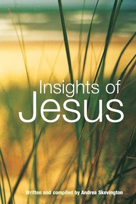 bokomslag Insights of Jesus