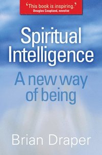 bokomslag Spiritual Intelligence