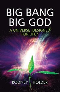 bokomslag Big Bang Big God