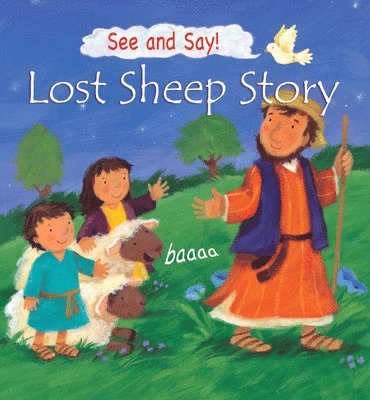 bokomslag Lost Sheep Story