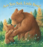 bokomslag Are You Sad, Little Bear?