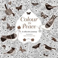 bokomslag Colour in Peace