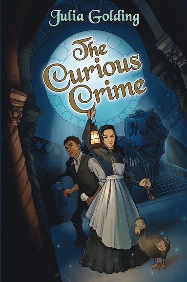 bokomslag Curious Crime