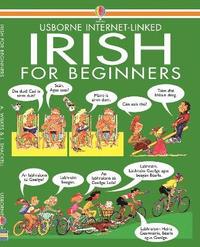 bokomslag Irish for Beginners