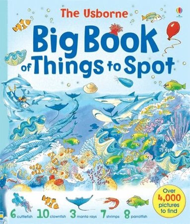 Gillian Doherty, Ruth Brocklehurst, Anna Milbourne - Big Book of Things to Spot, Häftad