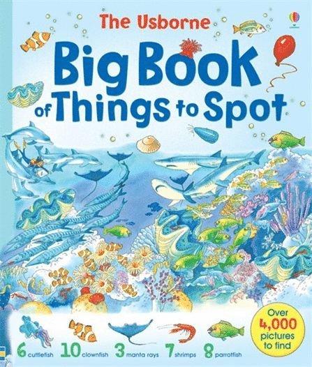 Gillian Doherty, Ruth Brocklehurst, Anna Milbourne - Big Book of Things to Spot, Häftad
