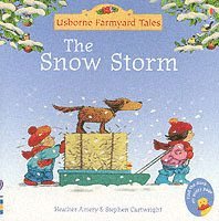Snow Storm 1