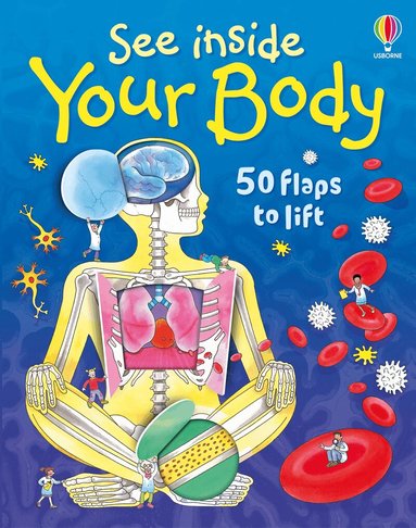 Katie Daynes - See Inside Your Body, Kartonnage