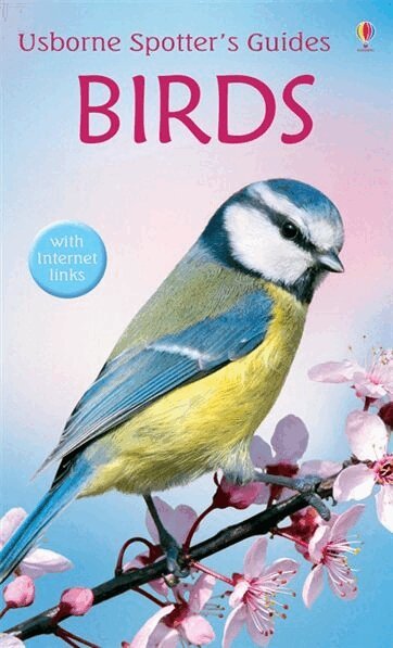 Peter Holden - Birds, Häftad