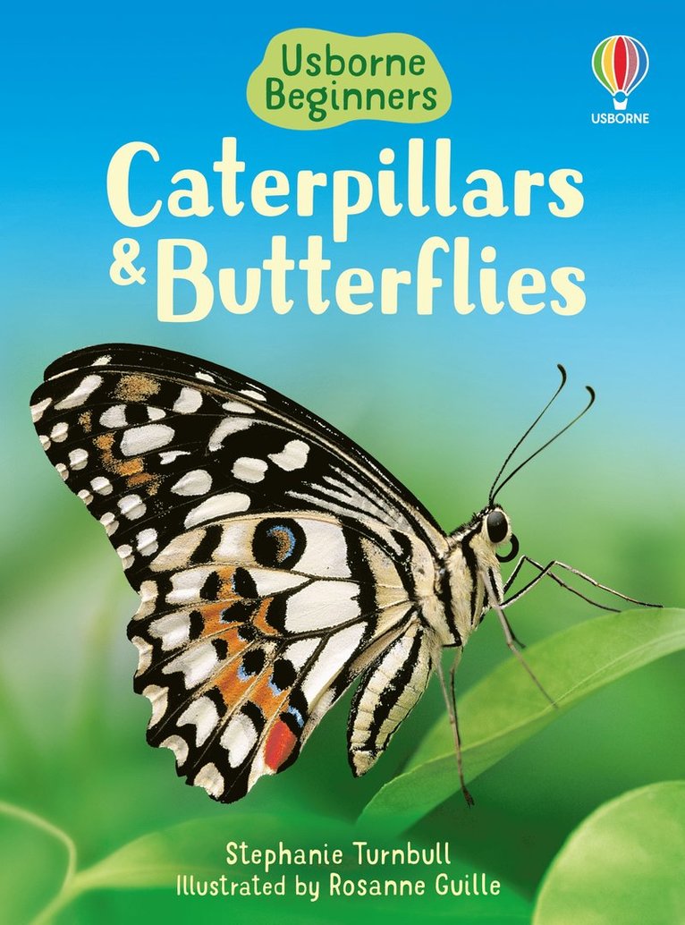 Caterpillars and Butterflies 1