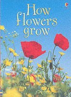 bokomslag How Flowers Grow