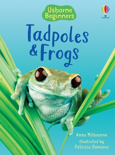 Anna Milbourne - Tadpoles and Frogs, Inbunden