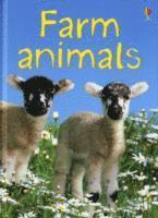 Farm Animals 1