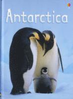 Antarctica 1