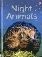 bokomslag Night Animals