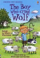 bokomslag The Boy who cried Wolf