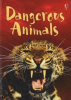 bokomslag Dangerous Animals