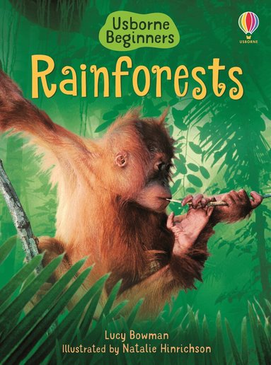 Lucy Bowman - Rainforests, Inbunden