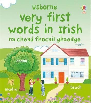 Felicity Brooks - Very First Words in Irish, Kartonnage
