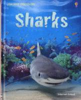 Discovery Sharks