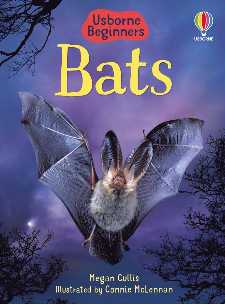 Bats 1