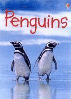 bokomslag Penguins