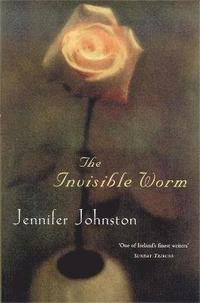 bokomslag The Invisible Worm