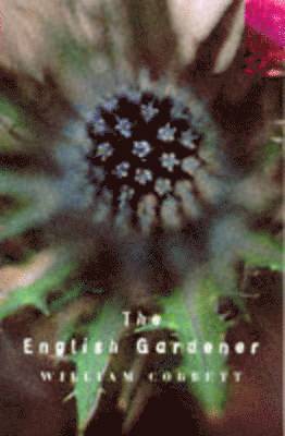 bokomslag The English Gardener