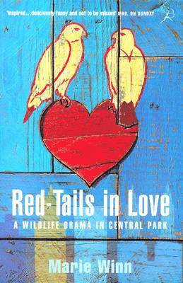 Red-tails in Love 1