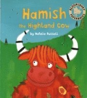 Hamish the Highland Cow 1