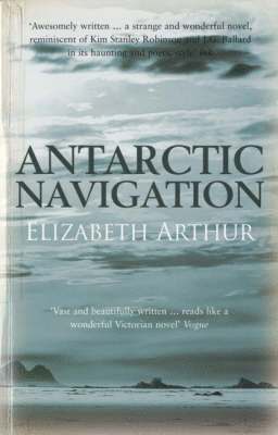 bokomslag Antarctic Navigation